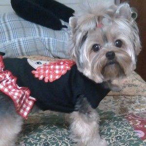 Meet your Posher, Charlene